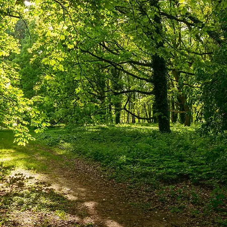 Batorego Grey - Stacja Metra 300m - Bezplatny Parking Appartamento